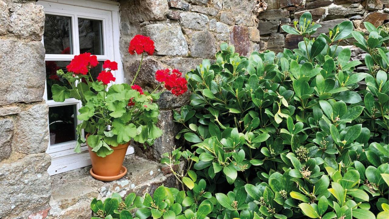 Manoir De La Begaudiere Mont-Dol Екстер'єр фото